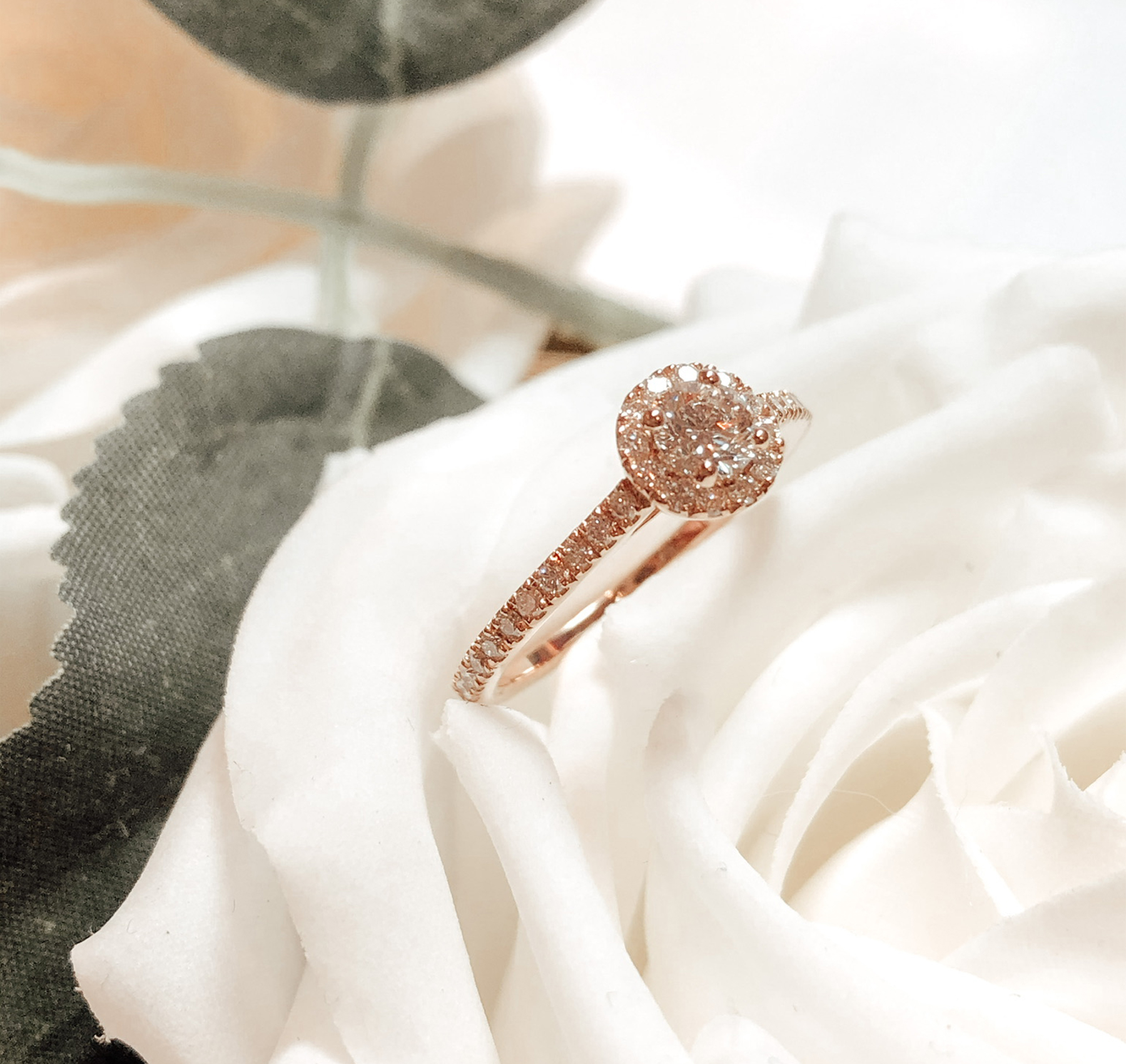 Rose avec bague en diamant